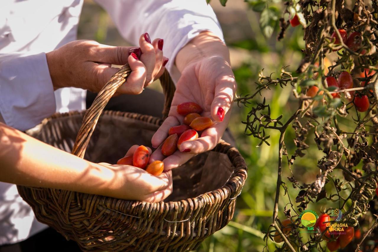 Agriturismo Ai Carpini Villa Marcon Dış mekan fotoğraf